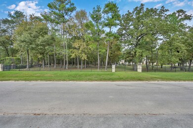 38242 Windy Ridge, Magnolia, TX 77355 - photo 3