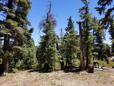 320 S Lichen Ln unit ZVME D-125, Duck Creek Village, UT 84762 - photo 5