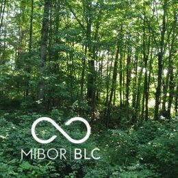 0 E County Road 800 N, Milan, IN 47031 - photo 2