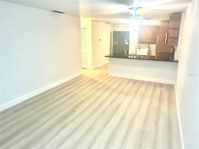 6344 Newtown Cir unit B2, Tampa, FL 33615 - photo 7