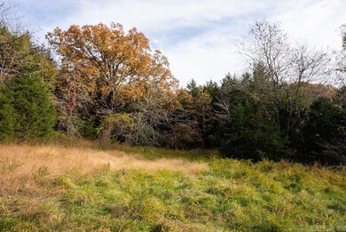 8 Cr 663, Oak Grove, AR 72660 - photo 4