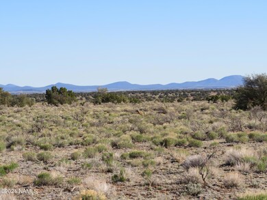 2150 Red Butte Rd, Williams, AZ 86046 - photo 5