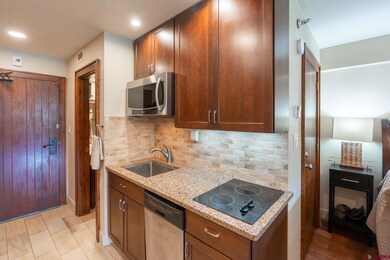 Tamarron Condos unit 225, Durango, CO 81301 - photo 7