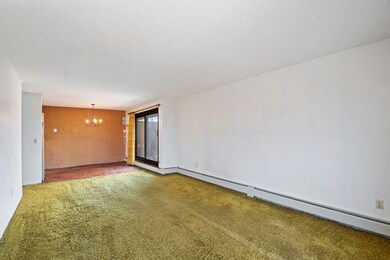 3399 Kent St unit 301, Saint Paul, MN 55126 - photo 3