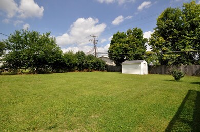 Back Yard 1 (2)