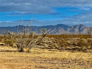3050 S Dateland Rd, Yucca, AZ 86438 - photo 3