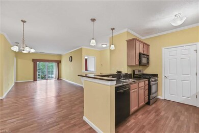 1006 Aqua Marine Blvd unit 44, Avon Lake, OH 44012 - photo 2