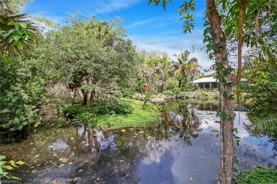 Close up of Leitner Creek.  Both directions lead in and out.