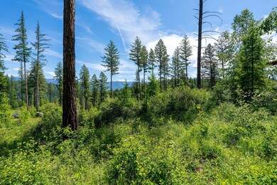 227 Chief Cliff Trail, Bigfork, MT 59911 - photo 7