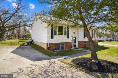 303 Buttry Rd, Gaithersburg, MD 20877 - photo 2