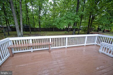10909 Buckskin Ln, Fredericksburg, VA 22407 - photo 5