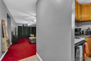 164 Glenn Ln, Spring City, TN 37381 - photo 6