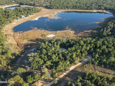 4660 Grassy Pond Rd, Chipley, FL 32428 - photo 2