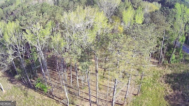 189 Spyglass Cir, McDonough, GA 30253 - photo 6