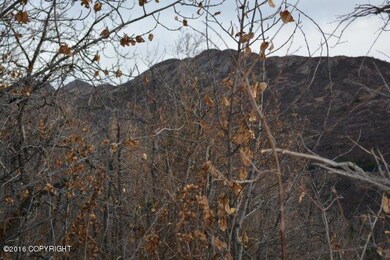 L12 & L13 Middle Rd, Anchorage, AK 99577 - photo 5