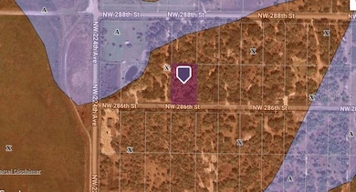 22241 NW 286th St, Okeechobee, FL 34972 - photo 3