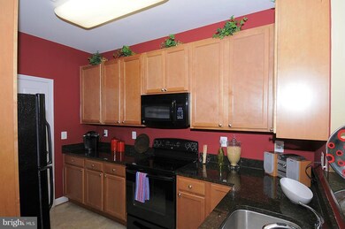 6161 Willow Place unit 208, Bealeton, VA 22712 - photo 4