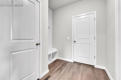 9735 Cronin St, Fountain, CO 80817 - photo 4