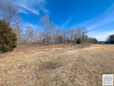 0 A L Philpott Hwy, Martinsville, VA 24112 - photo 5