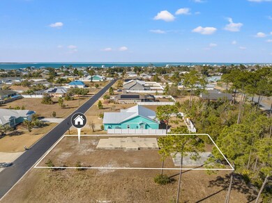 123 White Blossom Trail, Port Saint Joe, FL 32456 - photo 6