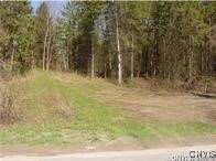 0 Nelson Rd unit S1569765, Lenox, NY 13032 - photo 3