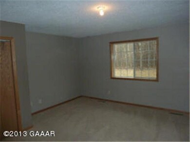 646 Birchwood Rd NW, Alexandria, MN 56308 - photo 4