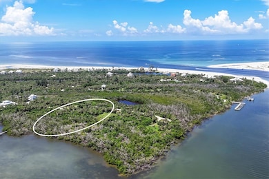 6040 Palm Point, Palm Island, FL 34223 - photo 2