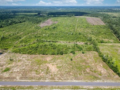 TBD Bellaire Dr unit Lot 6, Nichols, SC 29581 - photo 3