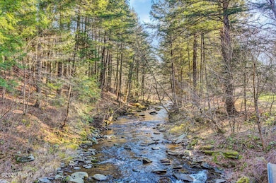 536A Fall Brook Rd, Starlight, PA 18461 - photo 7