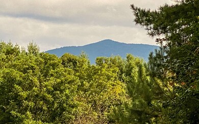 Additional View