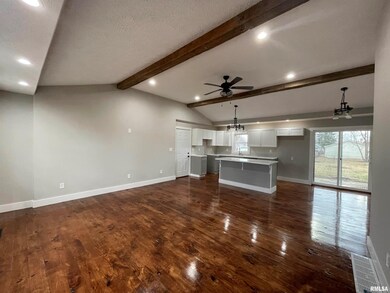 1326 Rutledge Dr, Lincoln, IL 62656 - photo 4