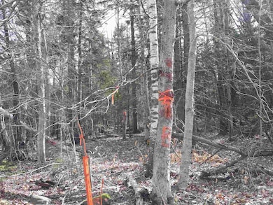 0 W Hill Dr unit 4798227, Readsboro, VT 05350 - photo 6