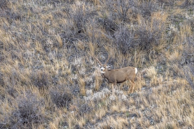 0 Tbd Iron Mountain Rd, Chugwater, WY 82210 - photo 7