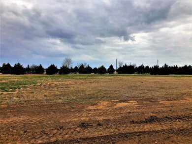 Lot 8D La Paloma 2 Dr, Gordonville, TX 76245 - photo 4