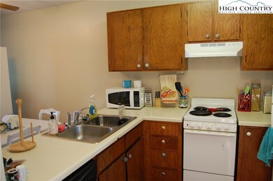 475 Meadowview Dr unit B301, Boone, NC 28607 - photo 4