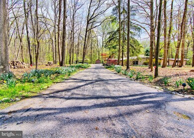 3019 Caves Rd, Owings Mills, MD 21117 - photo 4