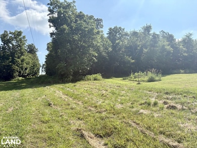 456 Geisler Rd, Piney Flats, TN 37686 - photo 3