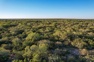 663 San Diego Rd, Tilden, TX 78072 - photo 7