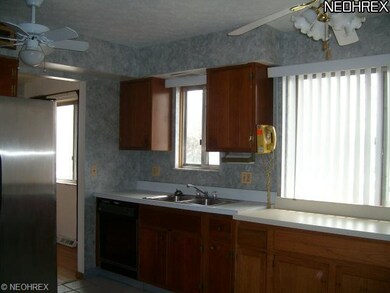Sink & Dishwasher that Overlooks Yard has Ceramic 