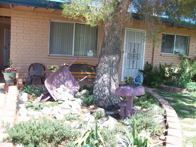Nicely landscaped front yard