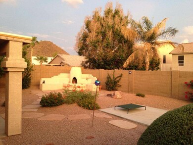 Backyard 1
