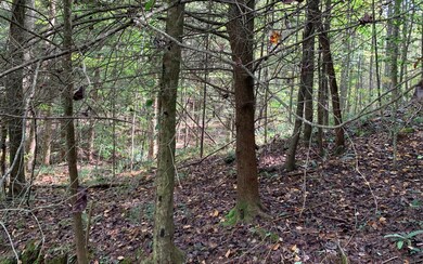 0 Flat Branch Rd unit 311525, Ellijay, GA 30540 - photo 4