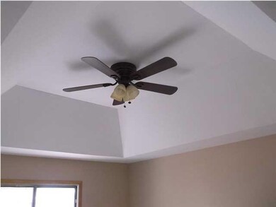 Master bedroom with tray ceiling