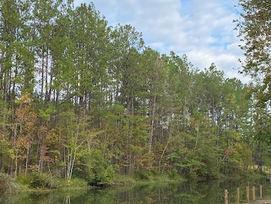 00 Rock Ranch Rd, Picayune, MS 39466 - photo 4