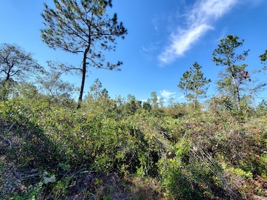 0 SW Prine Rd unit 19604535, Lee, FL 32059 - photo 6