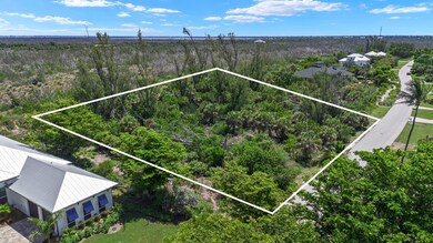 Aerial view of property and surrounding area featuring property boundaries highlighted and a forest