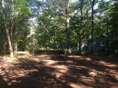 0 Birchwood Farm Rd, Freedom, NH 03836 - photo 6