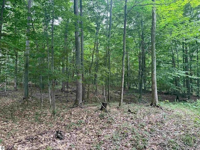 11599 S Tower Rd, Kasson Township, MI 49664 - photo 6