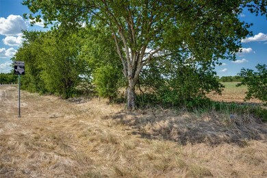 View of local wilderness