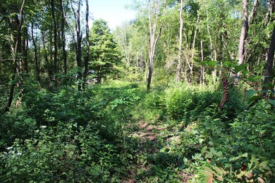 0 Township Road 133, Polk, OH 44866 - photo 2